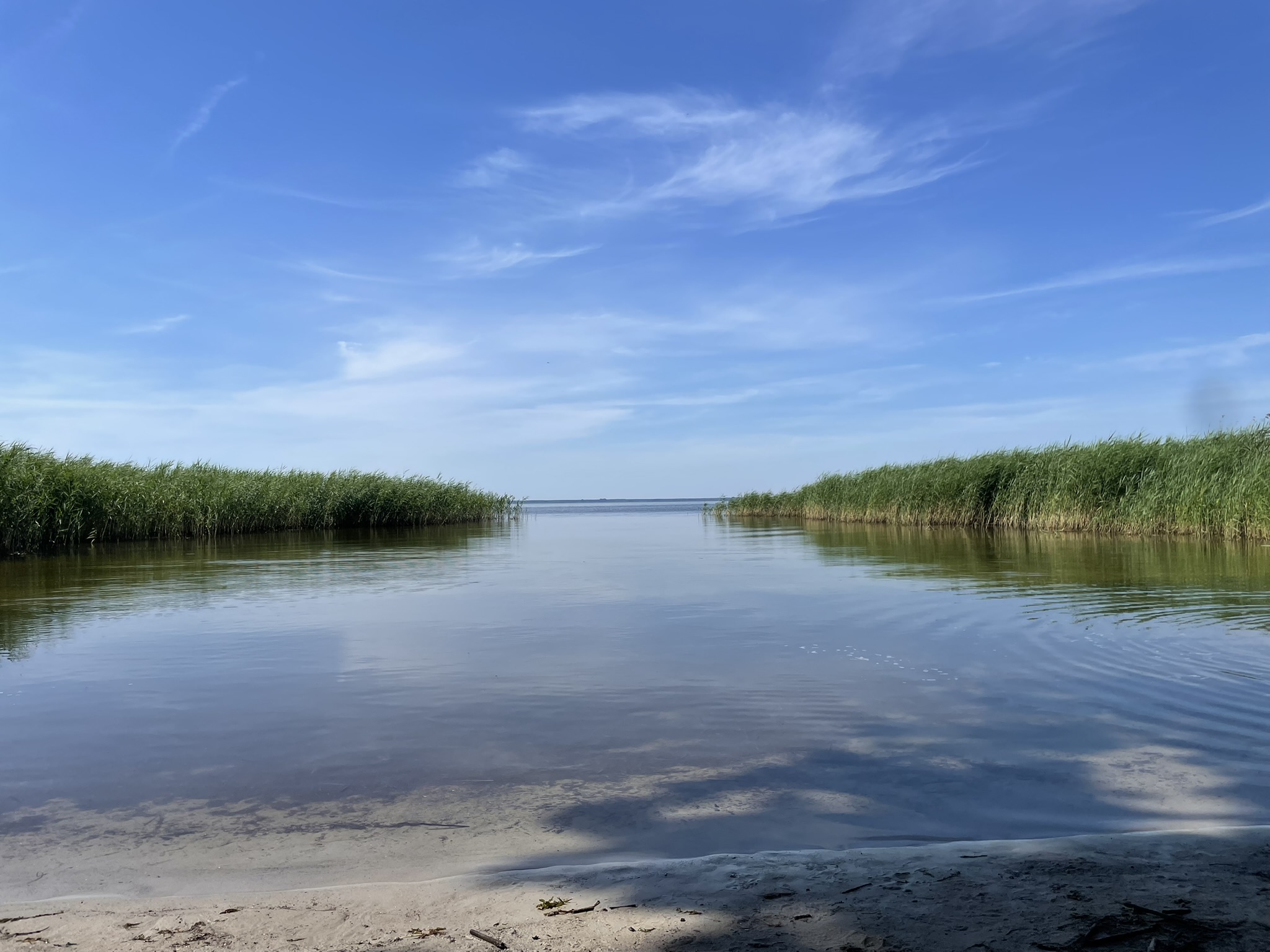 Stolper Haff mit Schilf